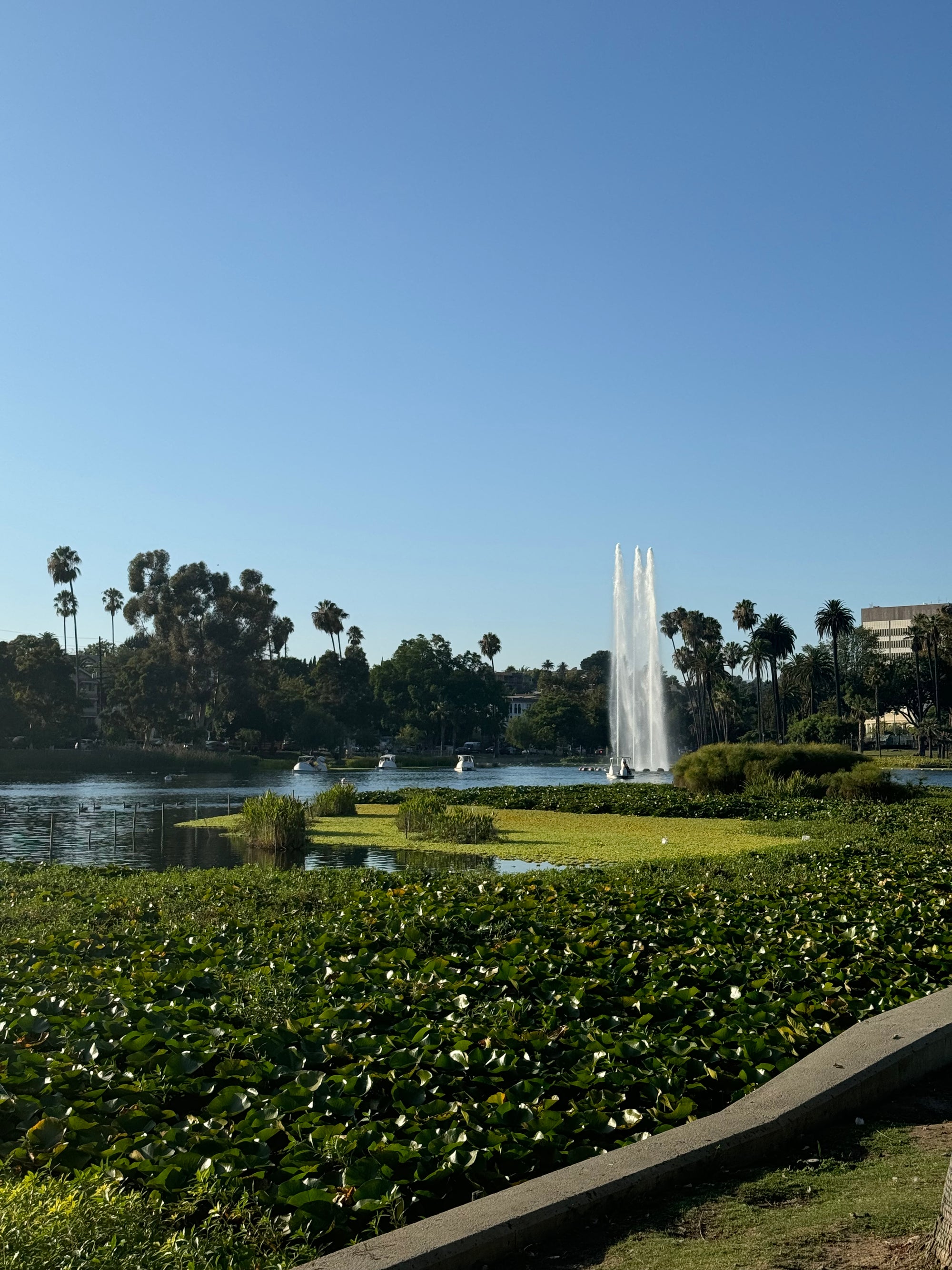 Echo Park Guide