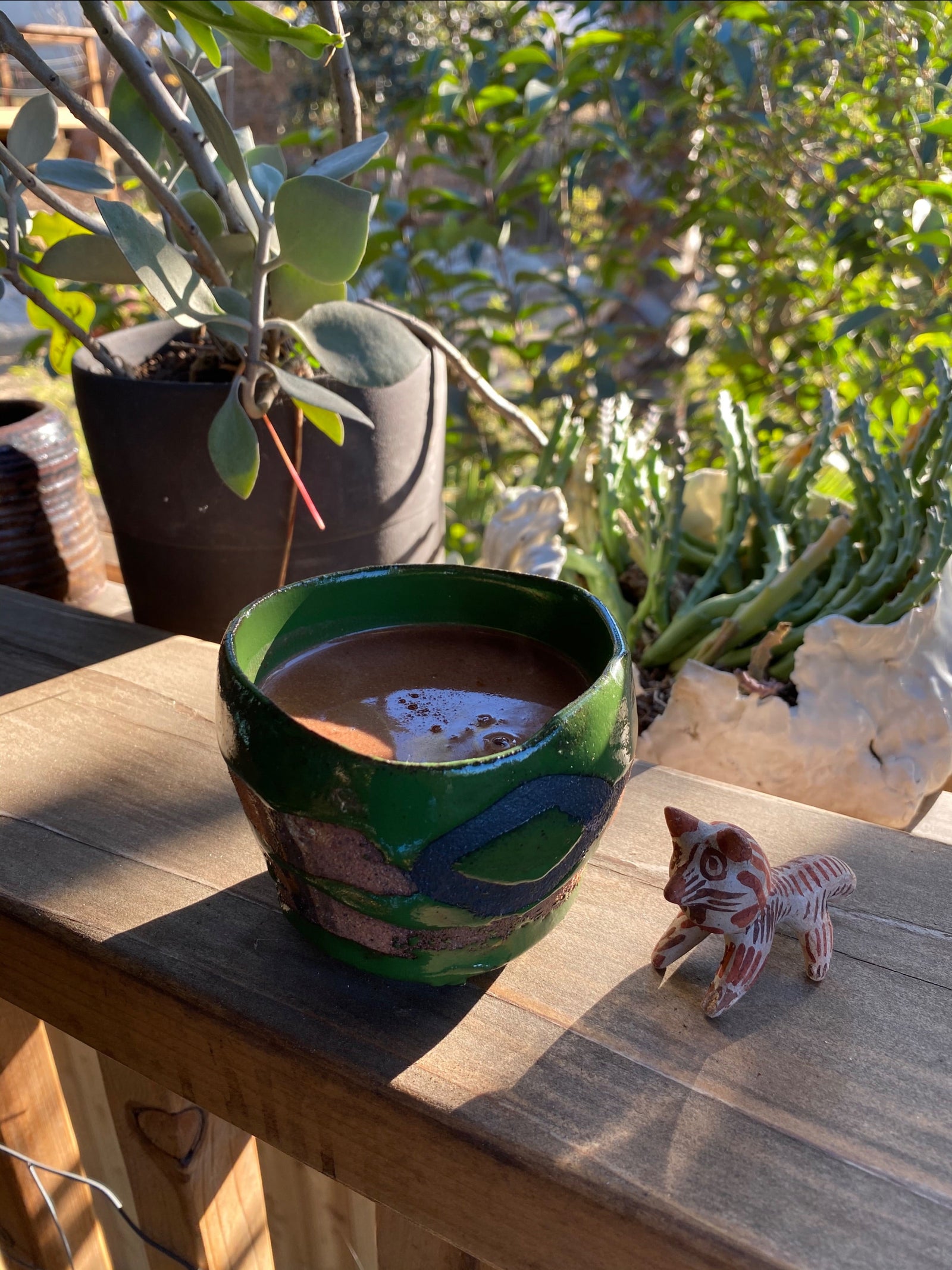 Rich Spicy Hot Chocolate