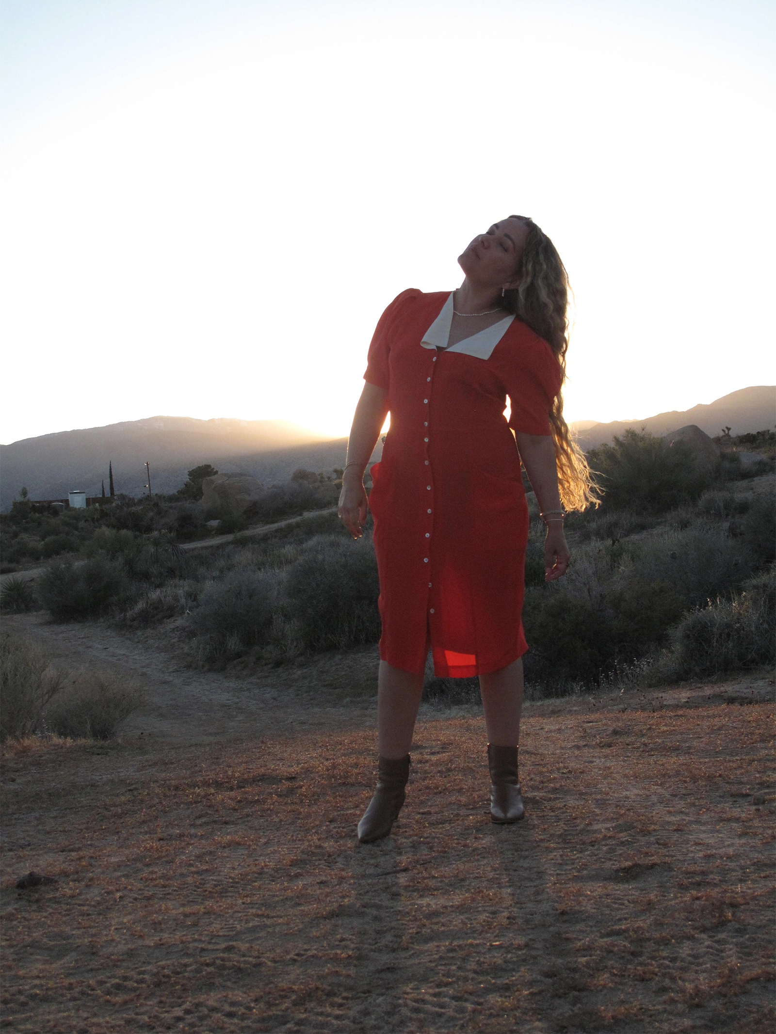 Beatrice Valenzuela - ALONDRA DRESS