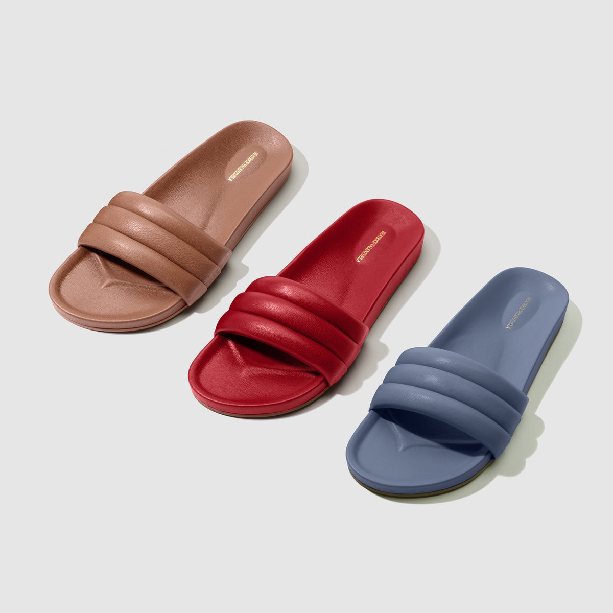 DELPHINIUM MONOCOLOR SANDALIA - Beatricevalenzuela.com