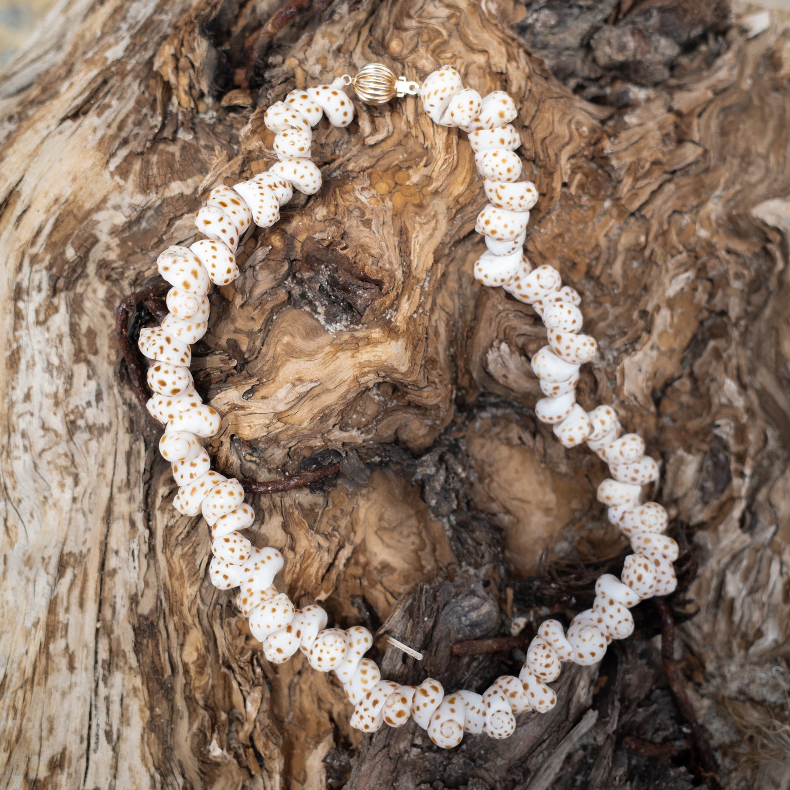 TIGER MOONSHELL NECKLACE - Beatricevalenzuela.com