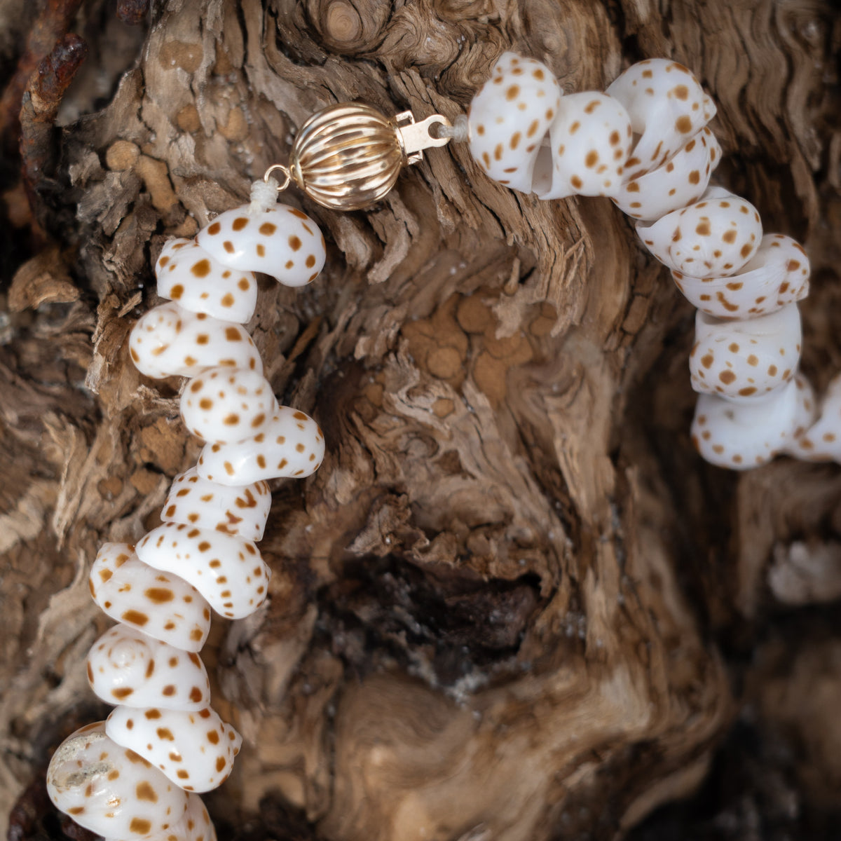TIGER MOONSHELL NECKLACE - Beatricevalenzuela.com