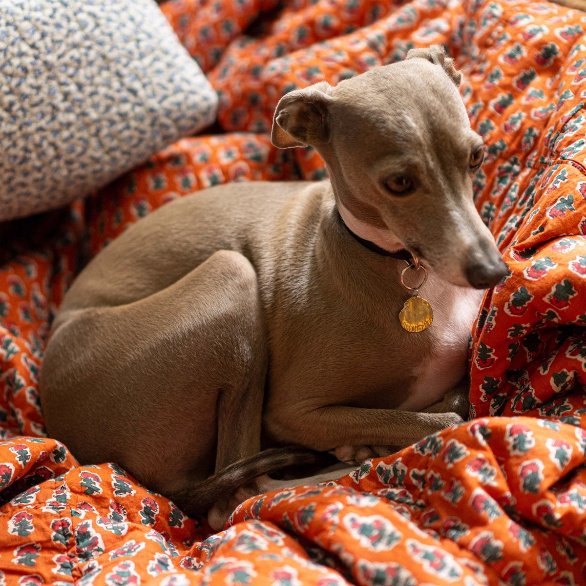 Beatrice Valenzuela - PET CONCHA PENDANT