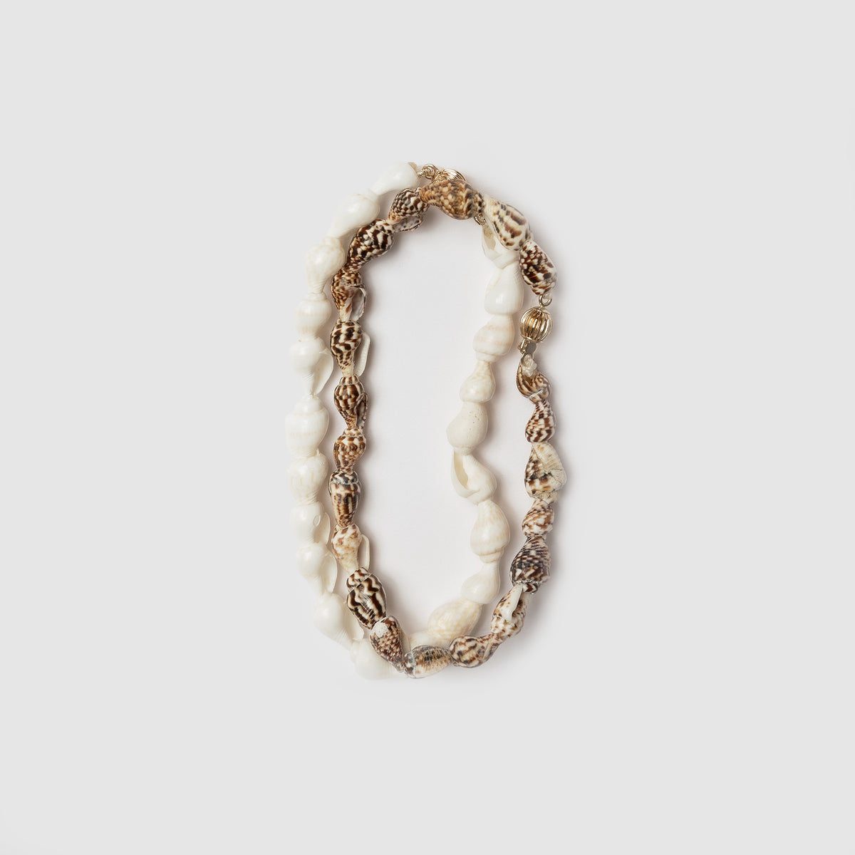 Beatrice Valenzuela - TIGER NASSA BRACELET
